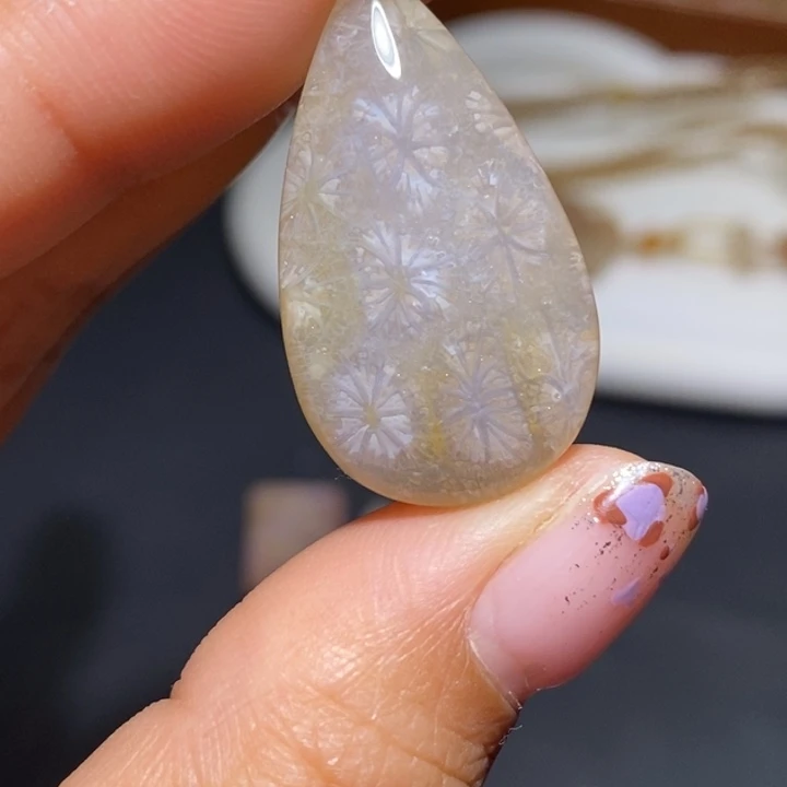 【闪购商品】未镶嵌珊瑚玉硅化玉