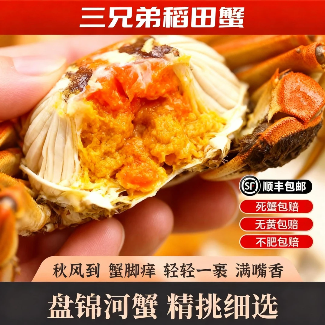 【盘锦稻田蟹母蟹】1.4-1.6两/只 2.5斤 死蟹包赔 含吃蟹工具