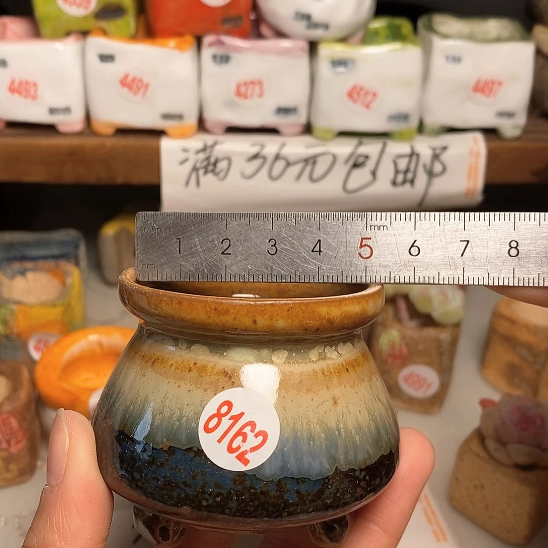 红陶拍5送一个小