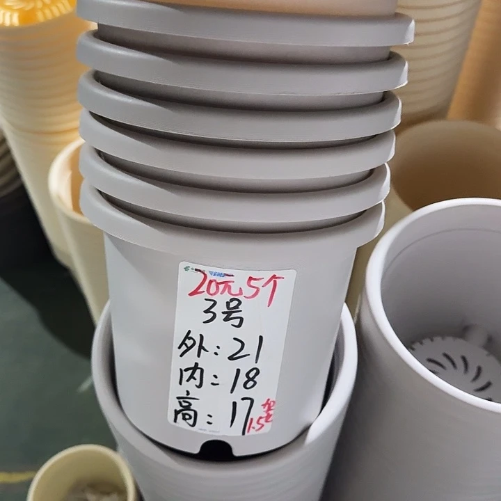 微瑕3#灰白10个无托