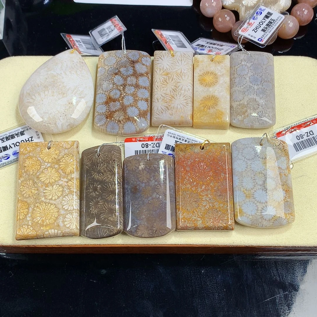 硅化珊瑚（珊瑚玉）未镶嵌吊坠(赠链)精品吊坠80米一个可挑（7号）