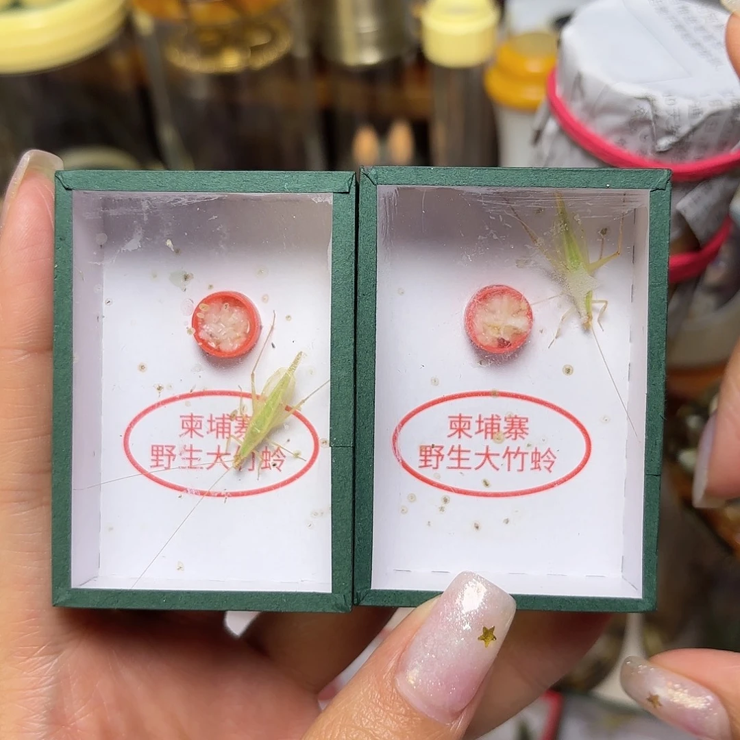 哈哈哈哈哈哈哈哈