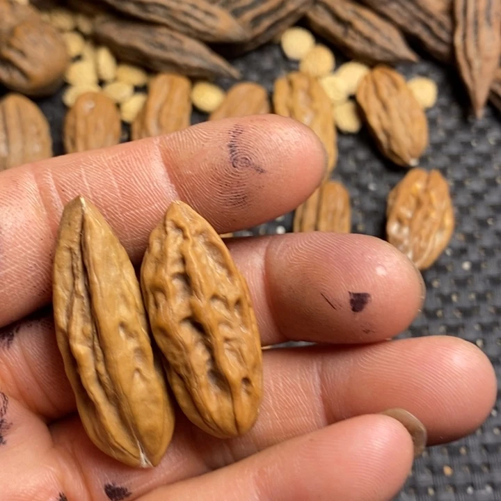 大***.文玩核桃吊坠^_^阿姐217