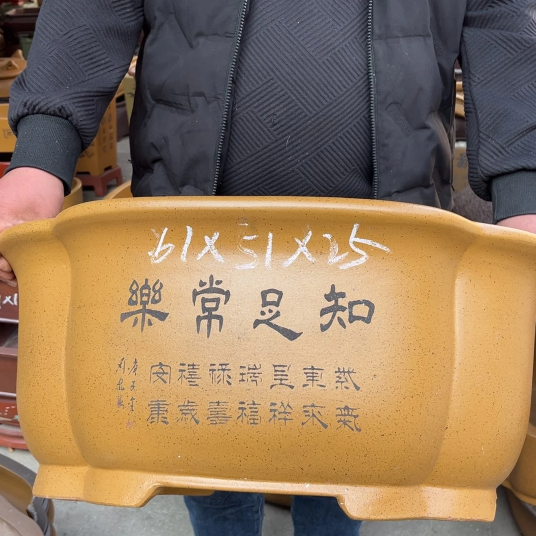 花盆紫砂盆景艺术