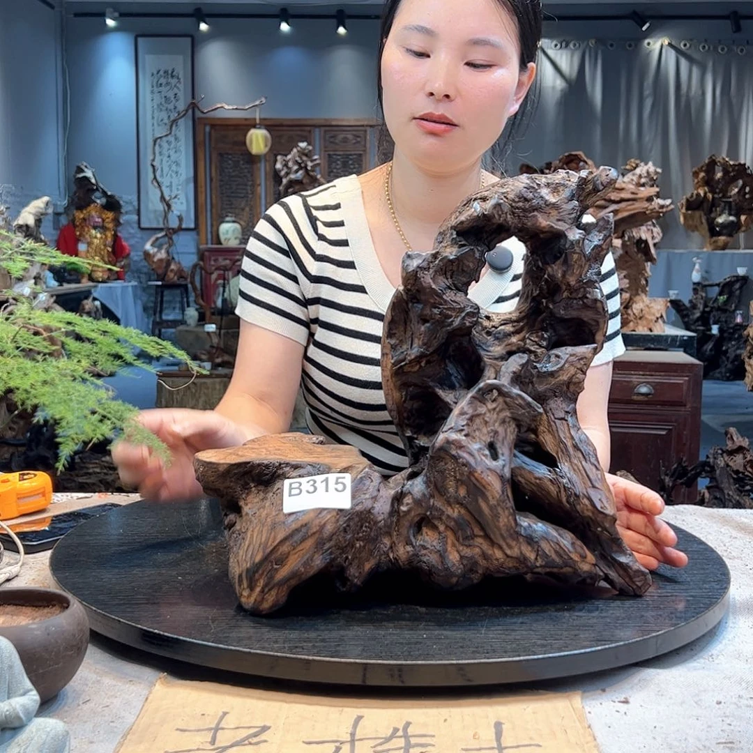 杯萤**森315啊啊啊啊山山水水