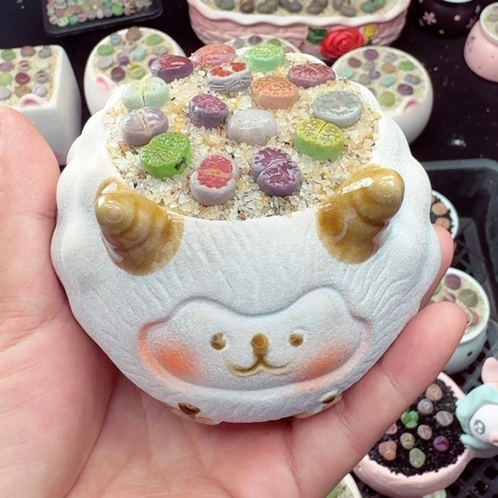 *****669零下地区记得拍保温箱