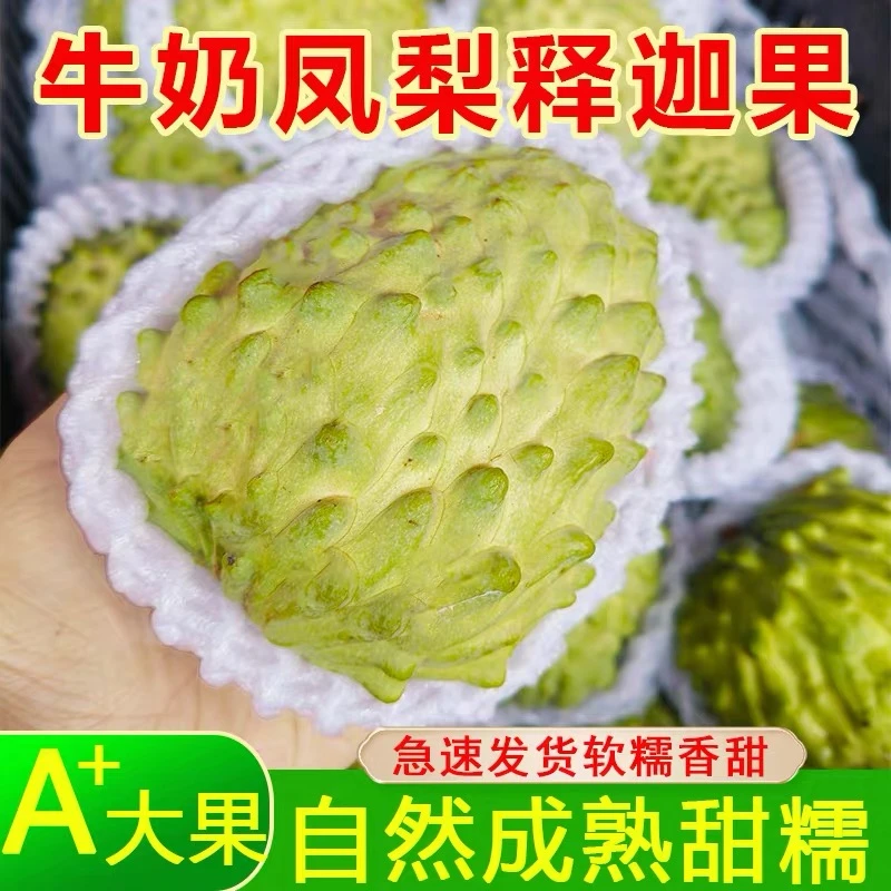 新鲜牛奶凤梨释迦果现摘当季水果番荔枝佛头果产地直发