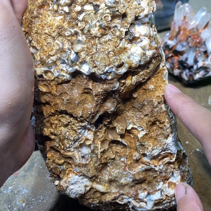 未镶嵌玛瑙/玉髓珠宝半成品