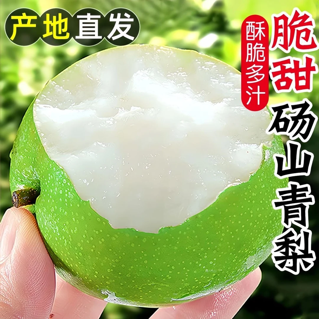 【现摘现发】正宗砀山酥梨产地直发一口爆汁脆甜可口解暑佳品