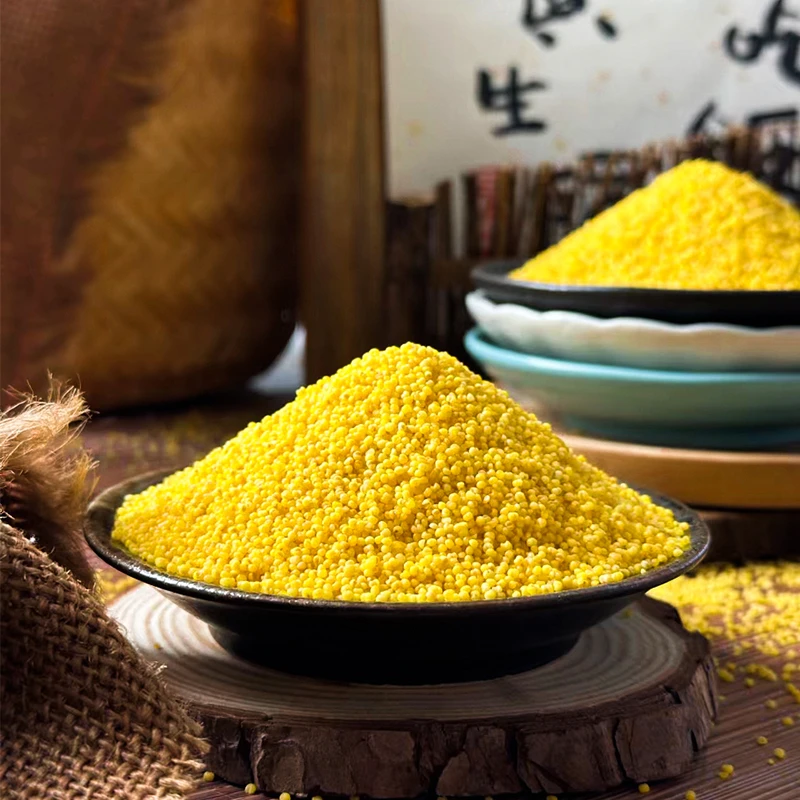 有机小米新鲜现磨东北黑土地当季新米 米油醇厚色泽明亮350g/袋