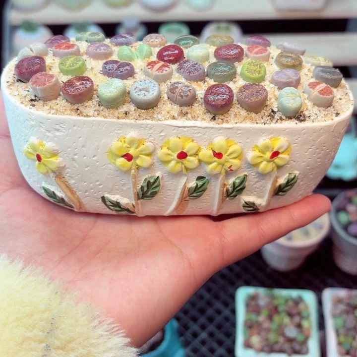 零下地区记得拍保温箱7006