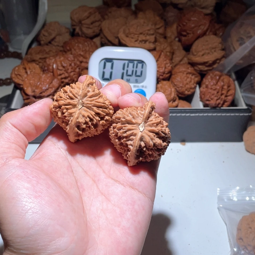 Z*42尺寸满天星狮子头