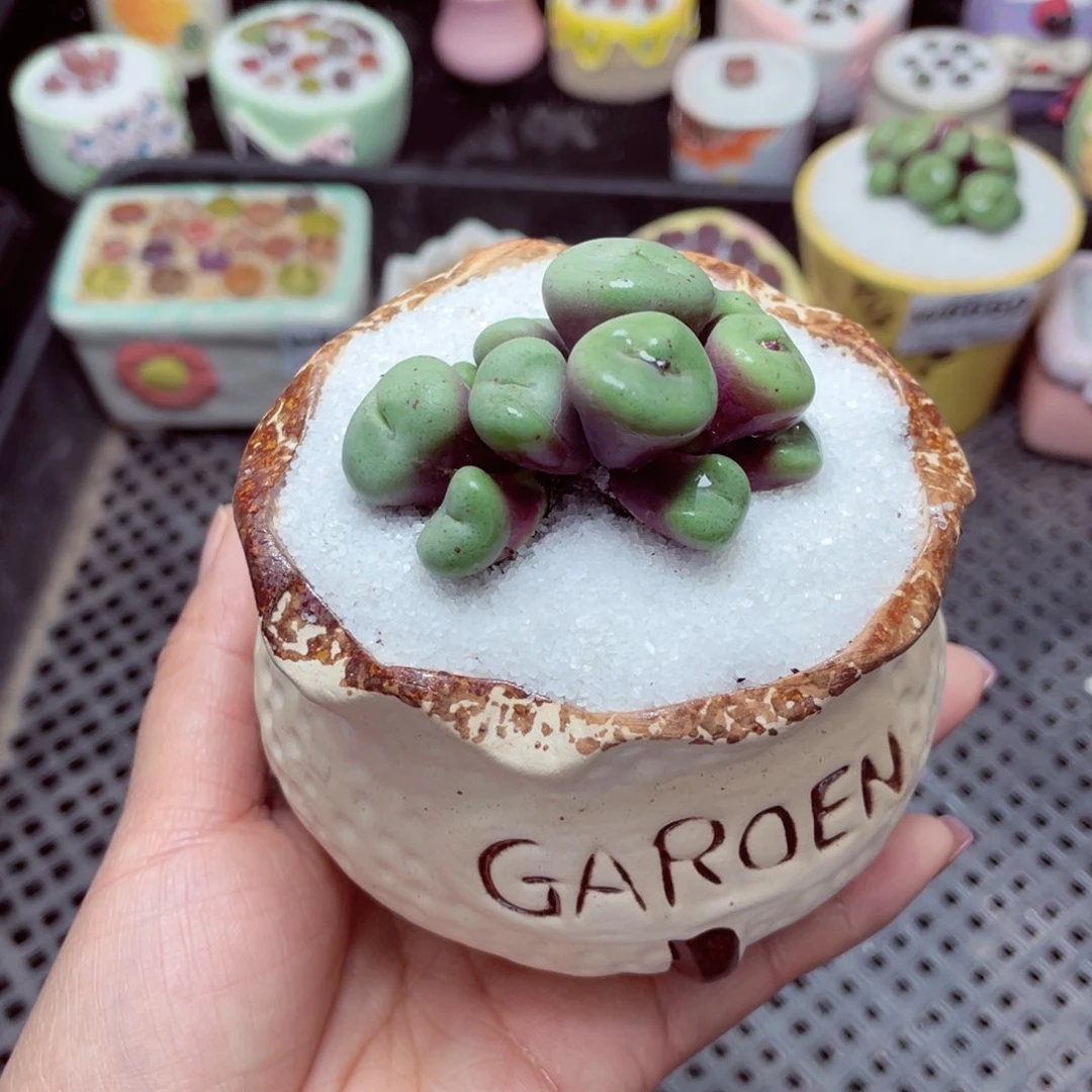 w6662 -零下地区拍保温箱-15支持寄养