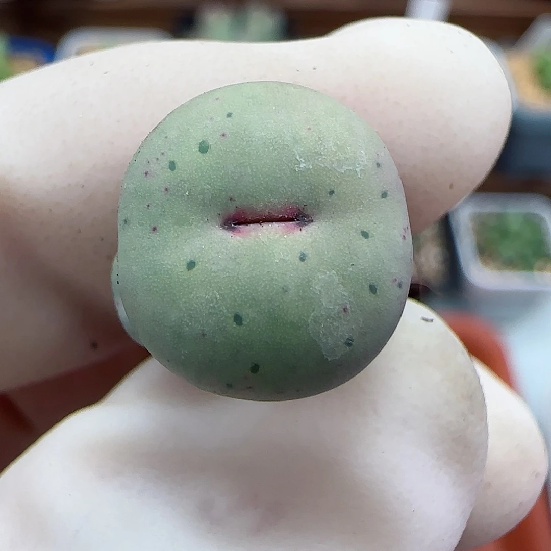 023福利福利福利