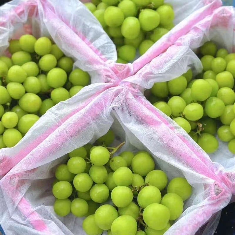 【超值福利】阳光玫瑰葡萄 净重约1000g/框【中果】云南省