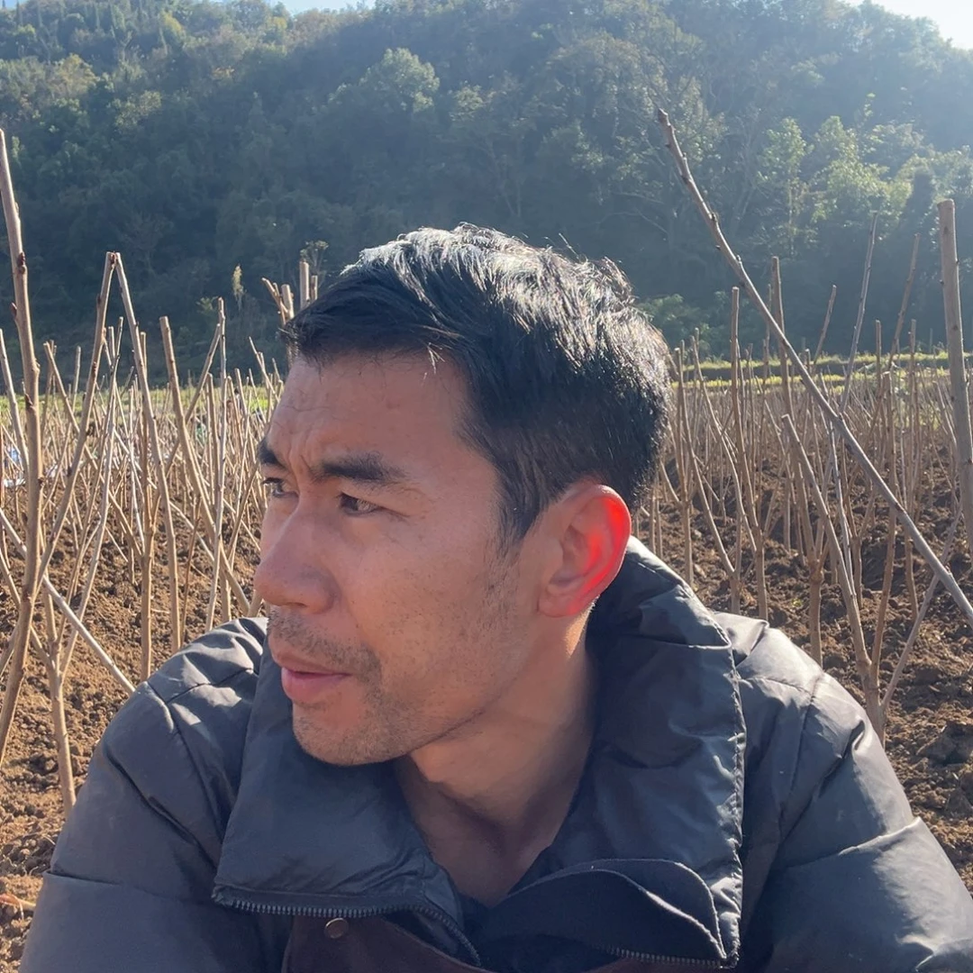 完全开放大树一屋一排