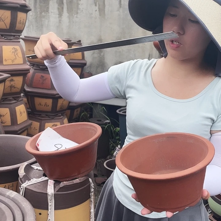 A979花盆花盆花盆花盆花盆