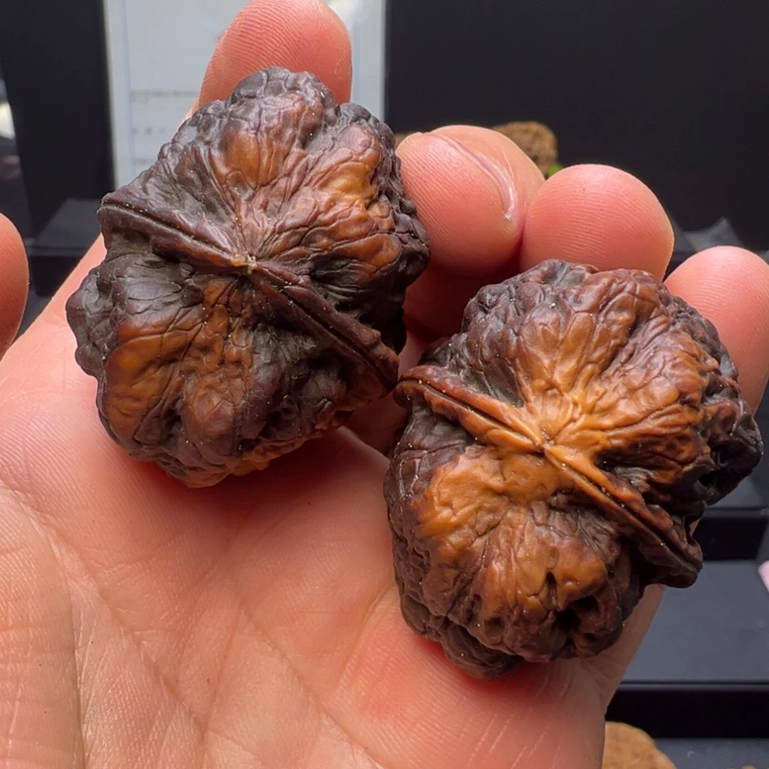 吊坠文玩核桃九五玄包花彩42mm