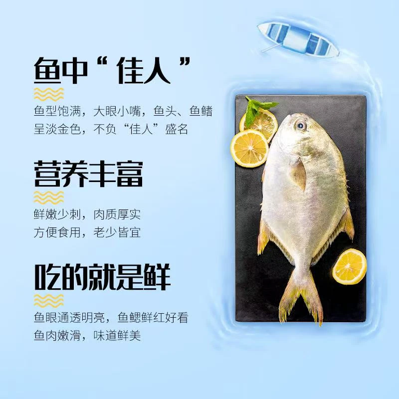 阳江本港金鲳鱼水产鲜活速冻 250g-350g/条 顺丰冷链发货