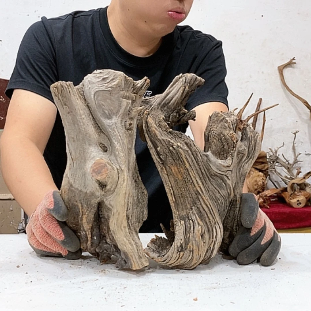 【闪购商品】柏木快**仙我们都是好孩子