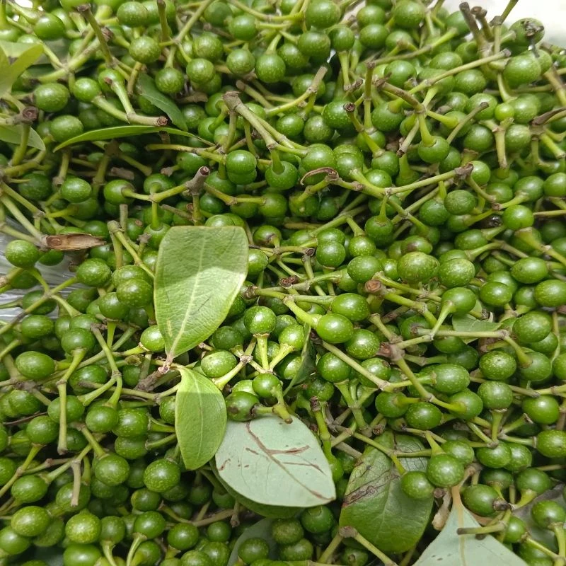 重庆现摘新鲜野山胡椒木姜子泡坛子炒菜佐料