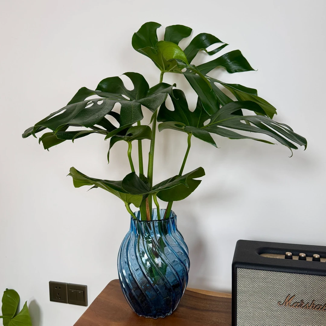 2025年新款琉璃气泡手工花瓶插花水样鲜花餐桌电视柜桌面摆件装饰