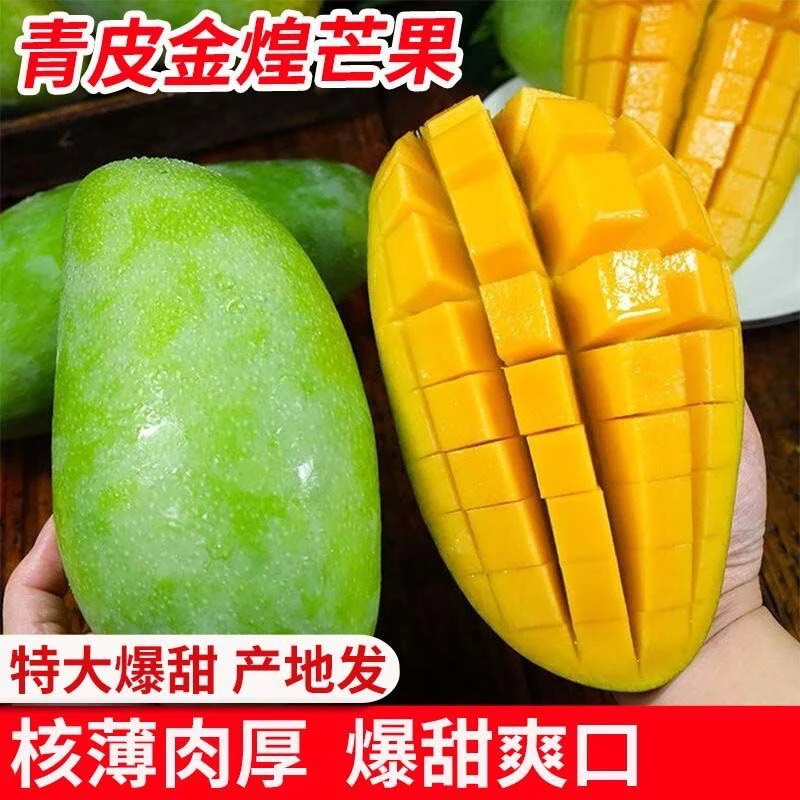 广西新鲜当季水果青皮金煌芒坏果包赔