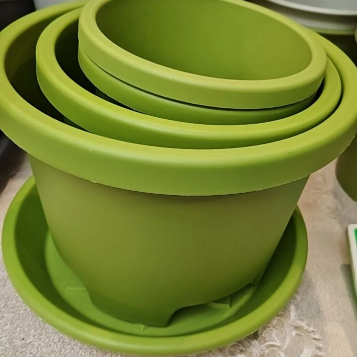 树脂球根1-4号，果绿带托各2个