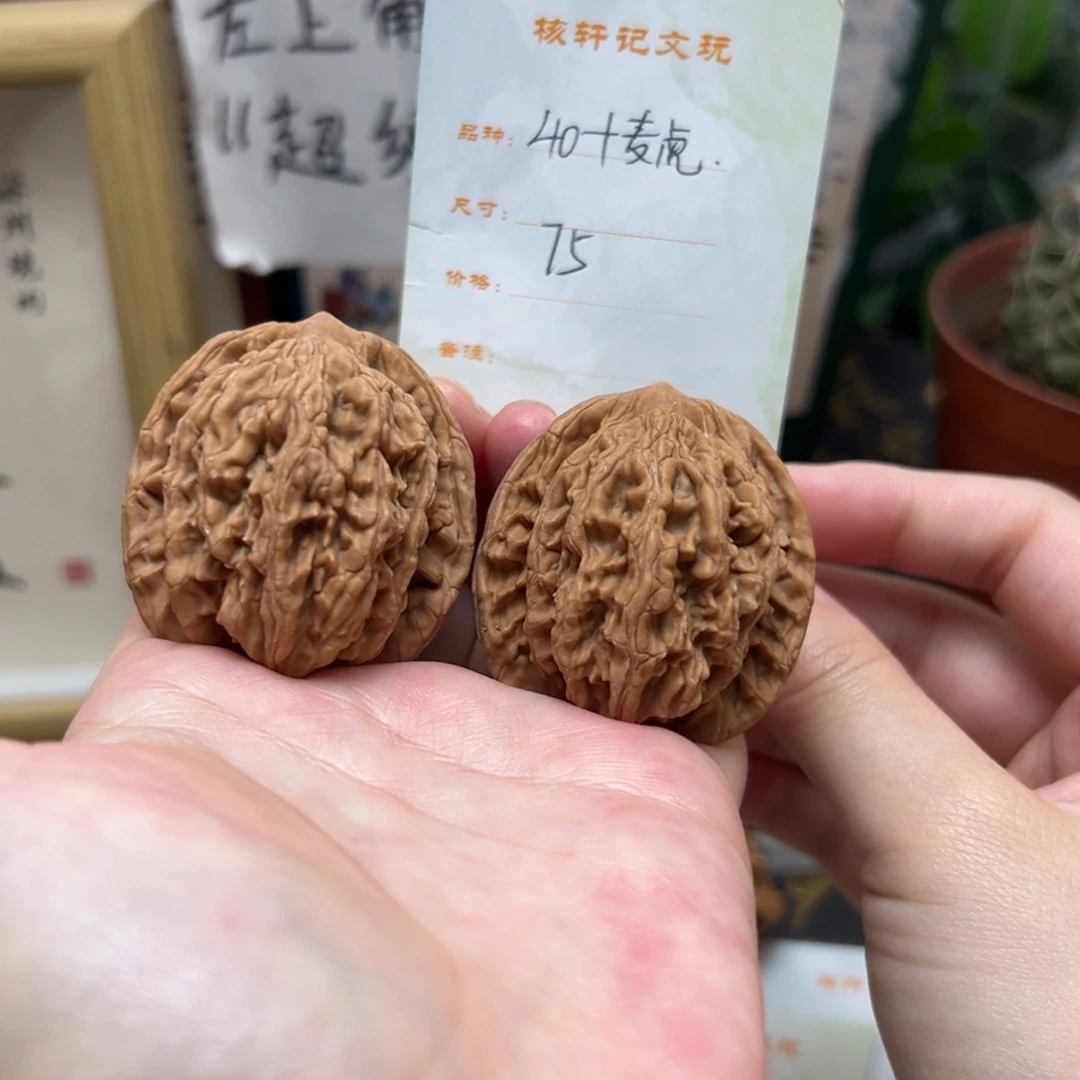 文玩核桃把件40➕麦虎