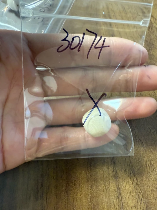 30174猛犸牙单珠瑕疵配饰介意勿拍