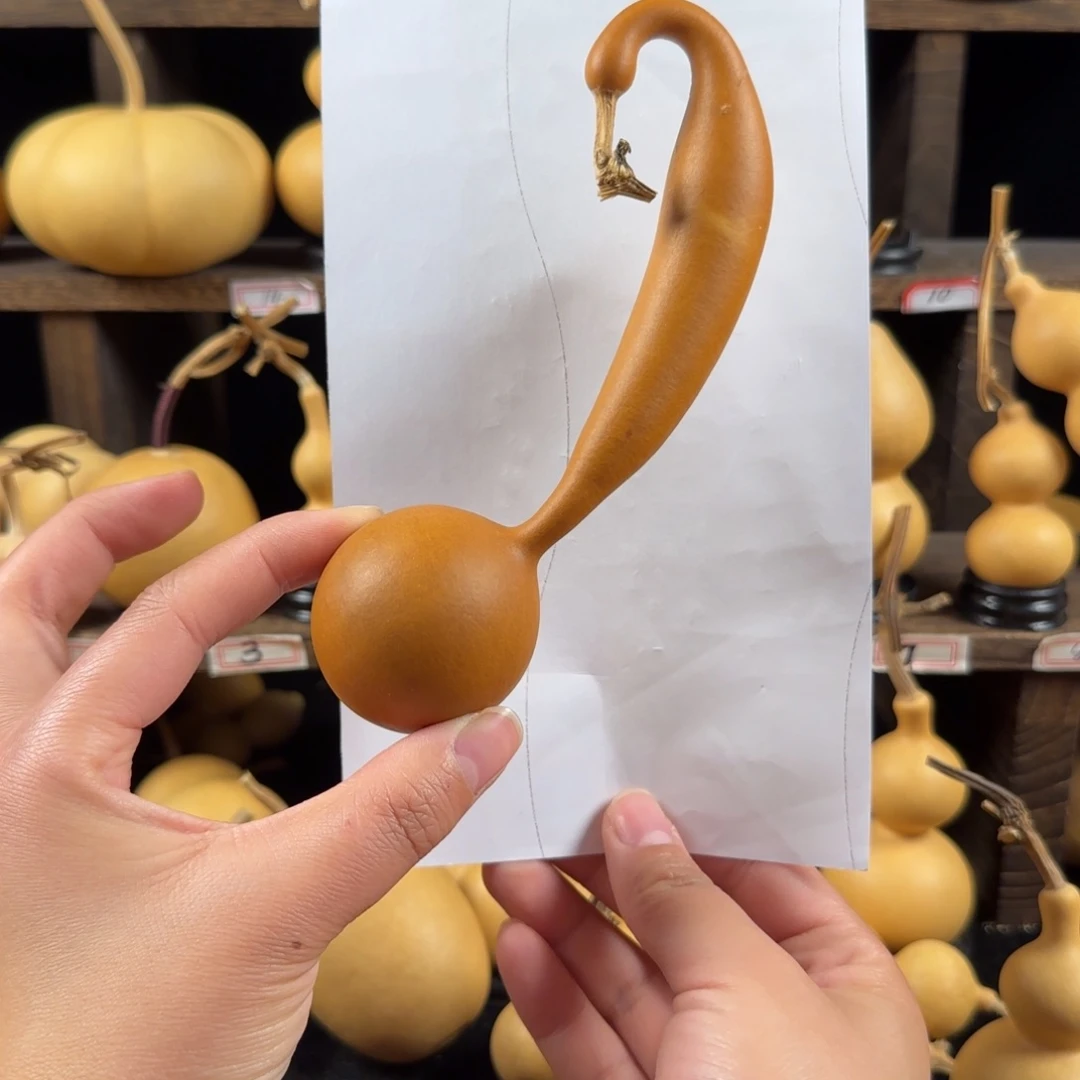 石****葫芦葫芦葫芦葫芦葫芦葫芦葫芦