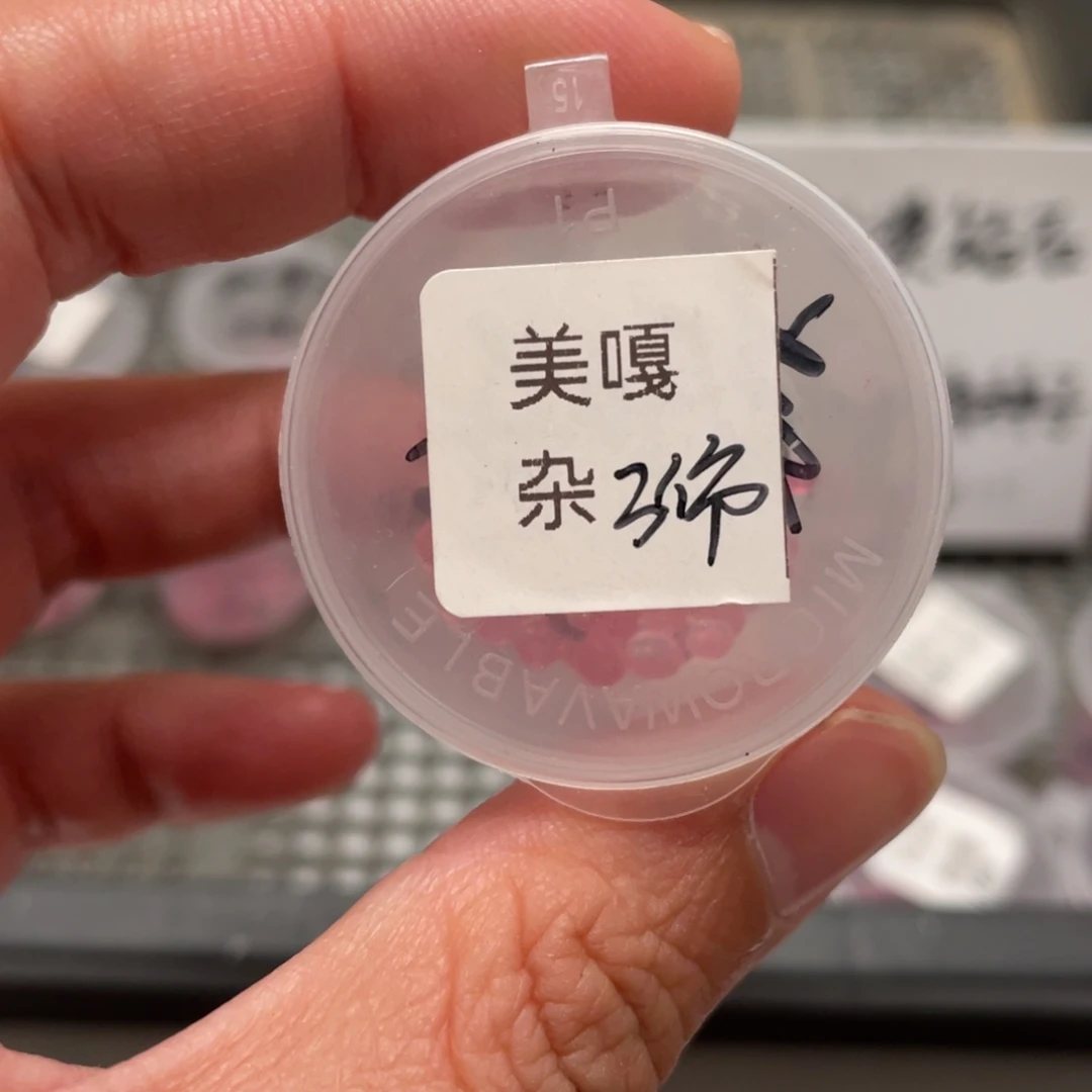 美嘎杂20粒种子，最后两份