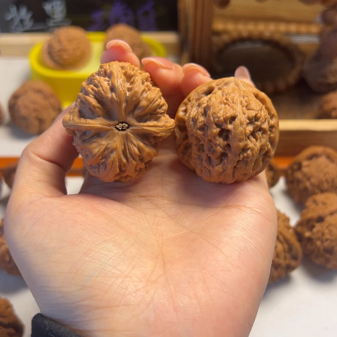 葫芦千佛山粗筋全品40+