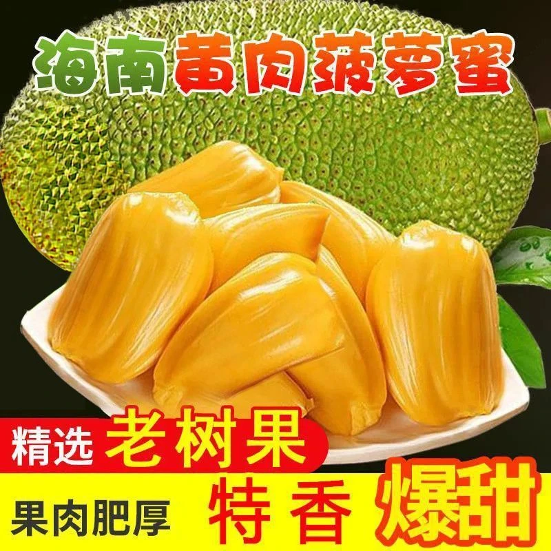 正宗海南三亚黄肉菠萝蜜整个新鲜当季水果波罗蜜榴莲整箱批发包邮