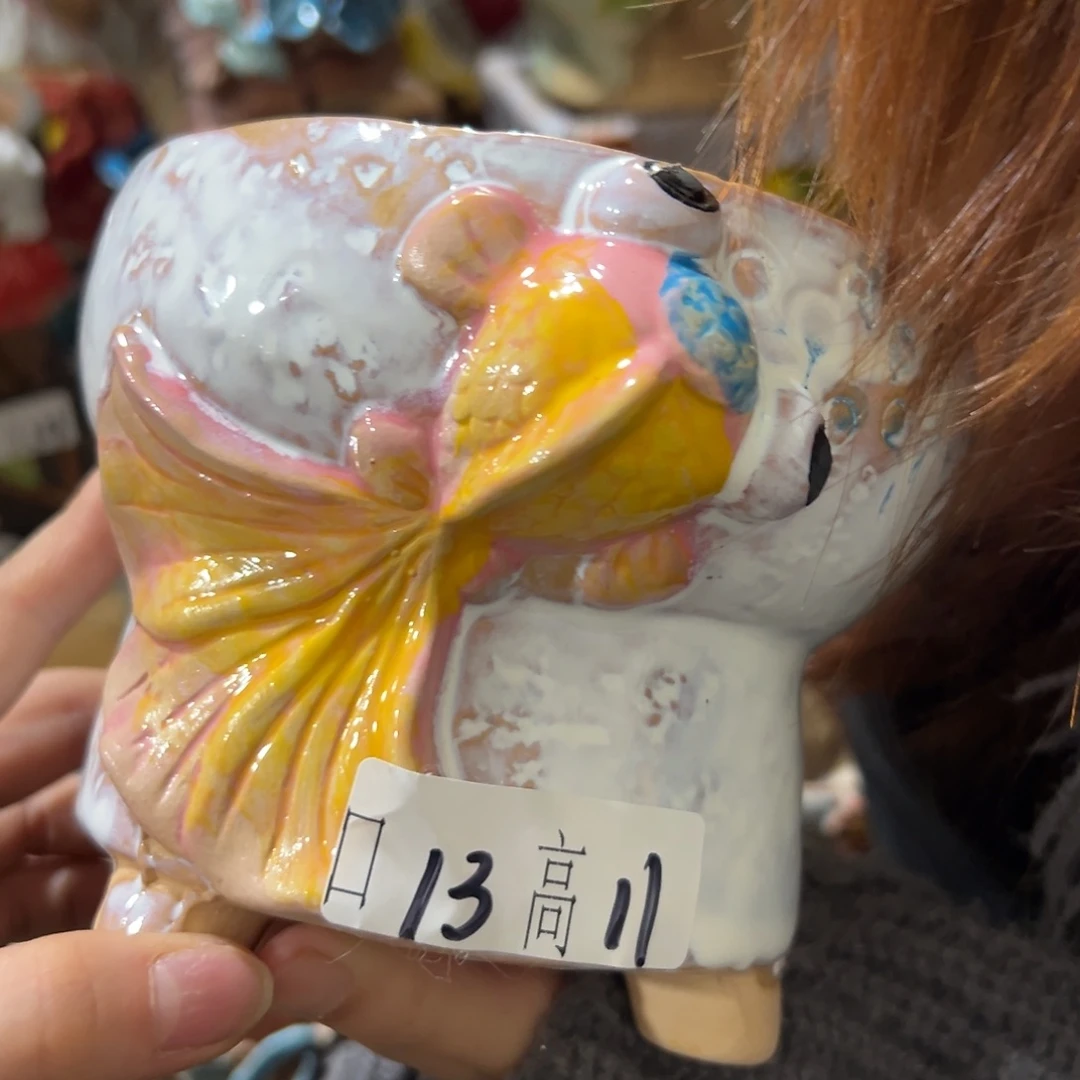 多肉花盆拍满20包邮爱退款拉黑