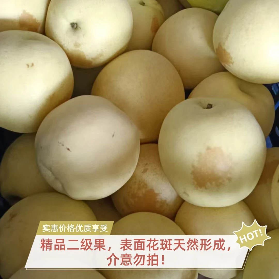 河北二级皇冠梨新鲜应季水果花斑梨5斤装25年新梨爆汁。净重4斤