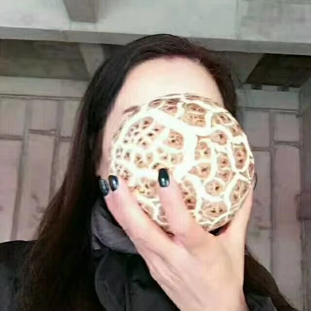 《王早早专属》特优级新鲜特大花菇王现摘出口级地理性产地直发