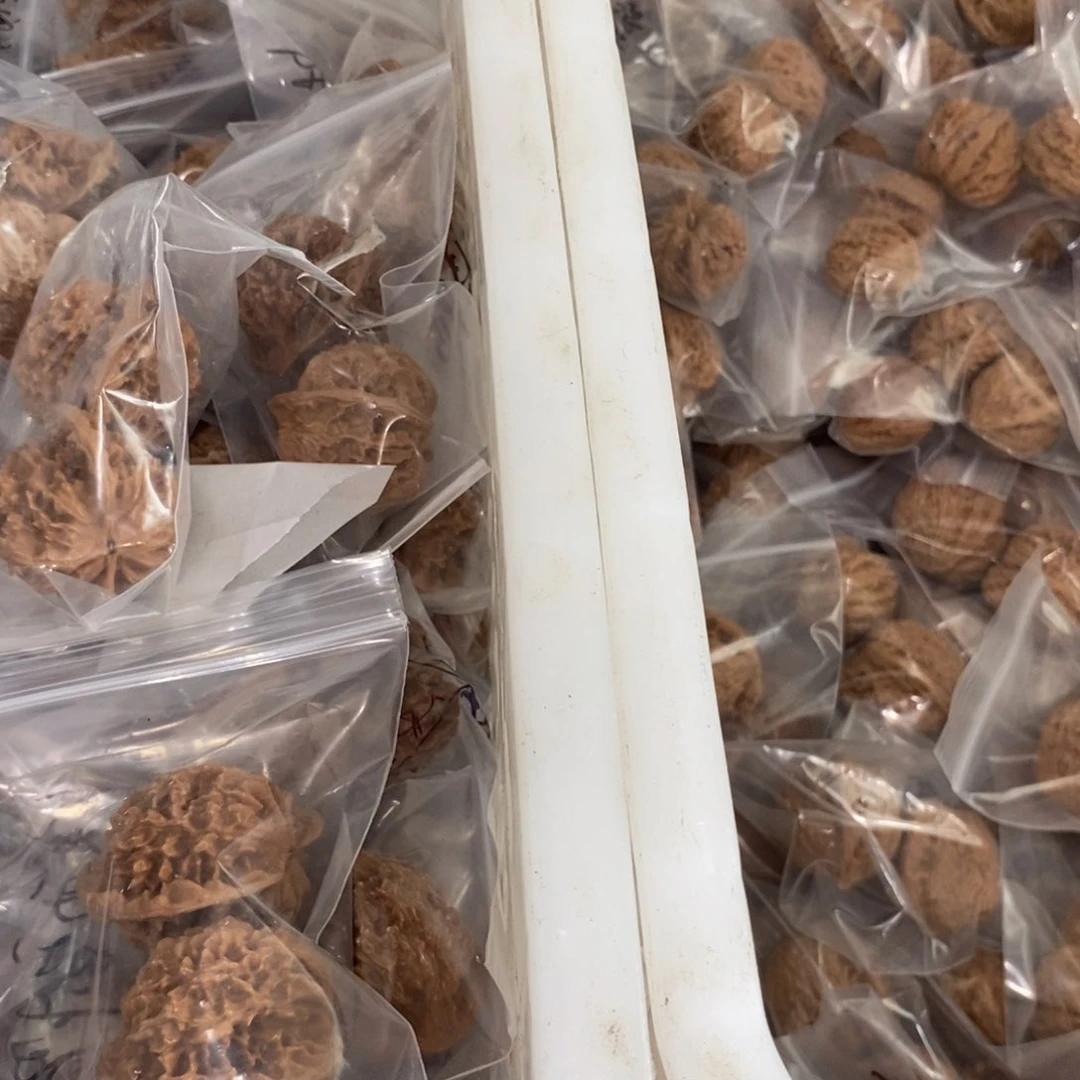 文玩核桃吊坠绣星陕有瑕疵