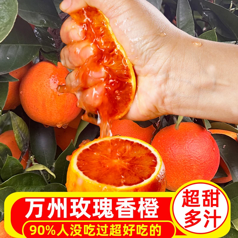 重庆万州玫瑰香橙塔罗科血橙新鲜水果现摘现发橙子四川