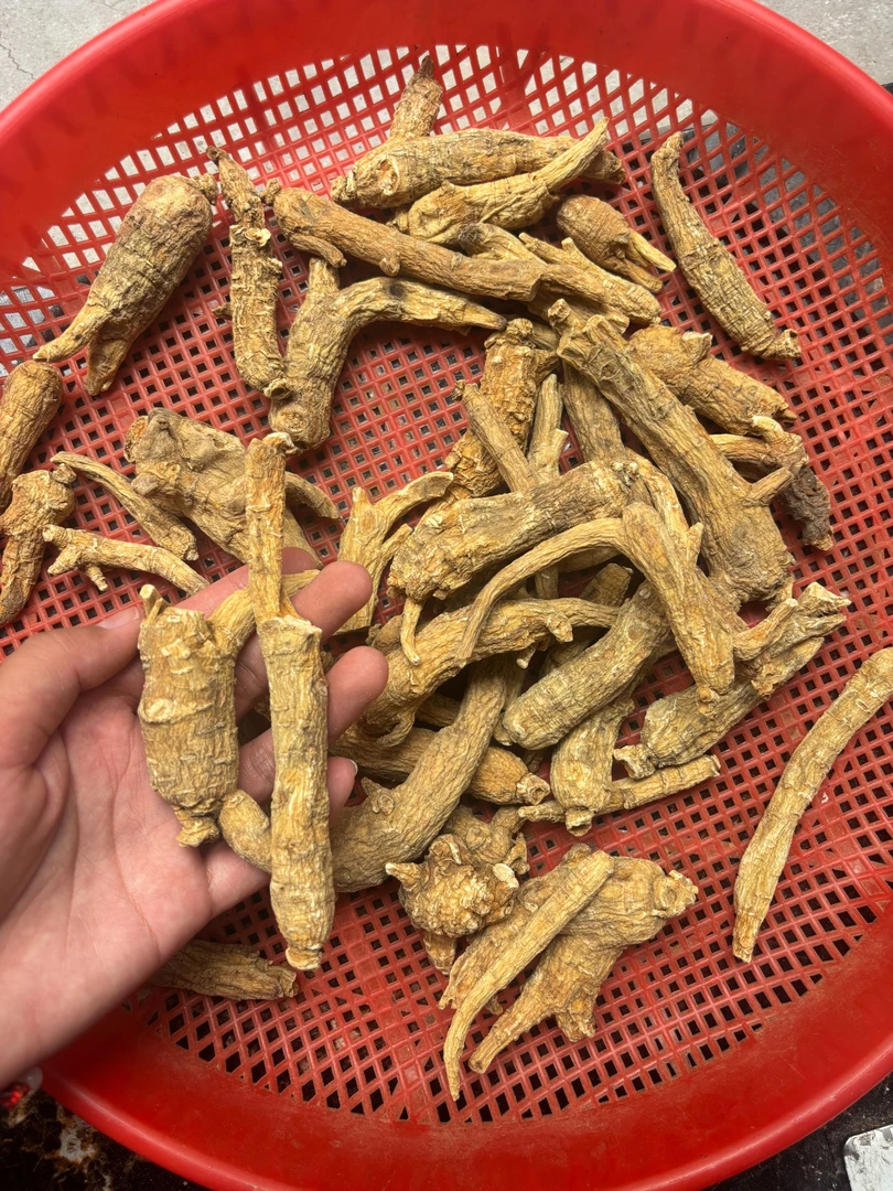 正宗西洋参整根可泡水煲汤补气血