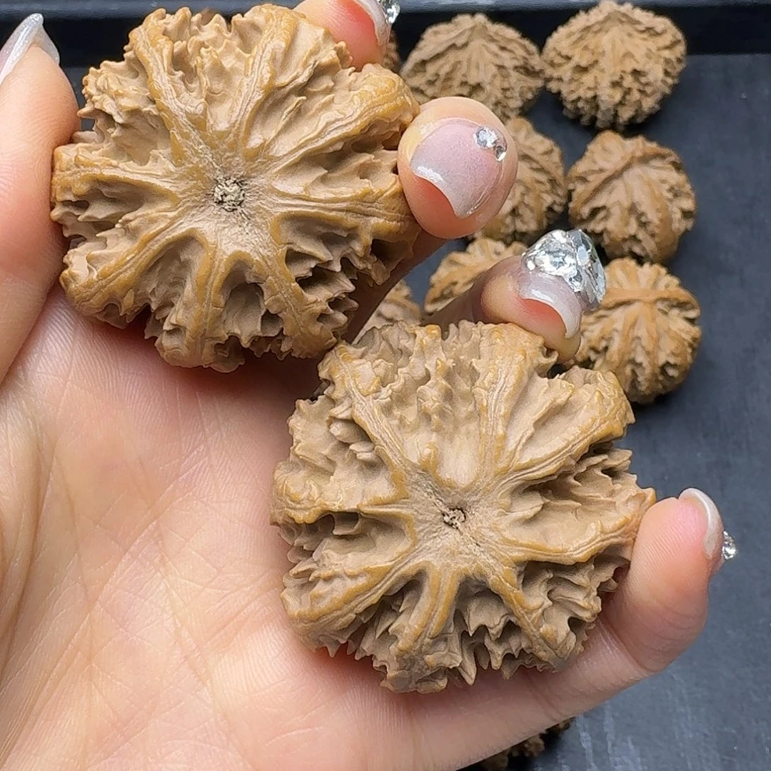 B***.桃木突突突突突突突