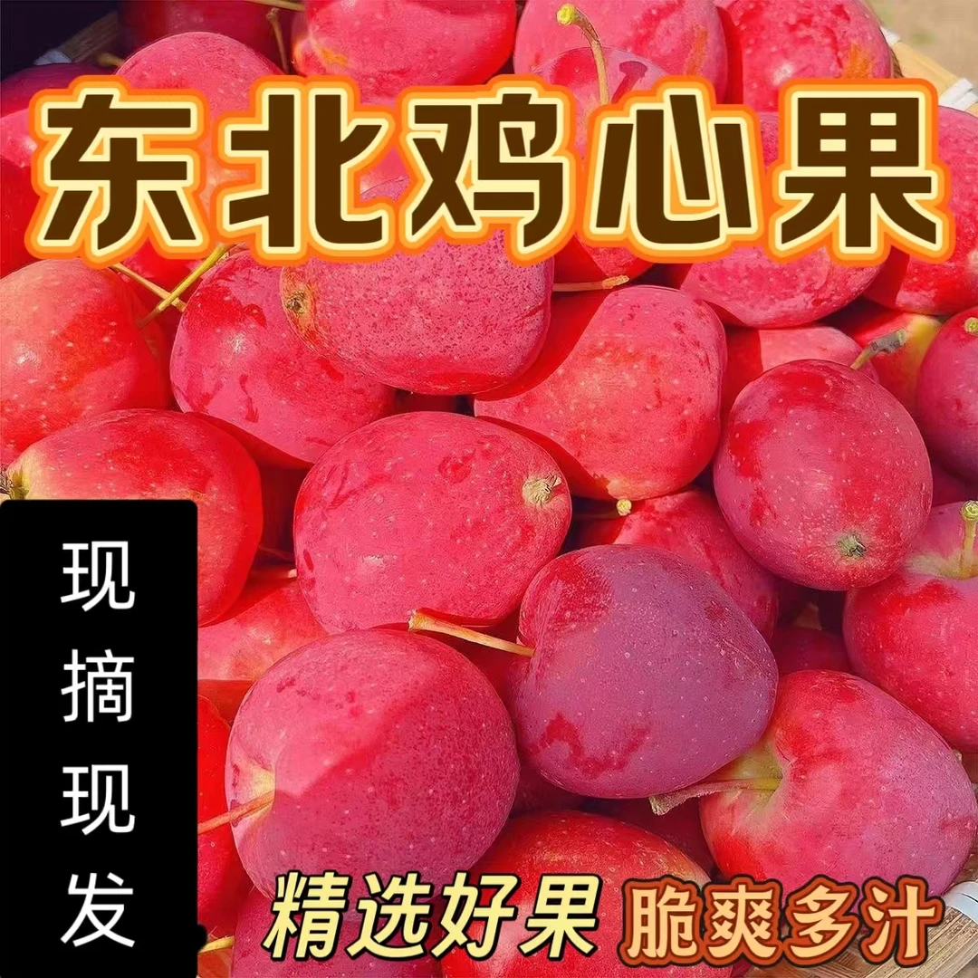 东北特产鸡心果锦绣海棠新鲜采摘脆甜多汁应季水果现摘现发