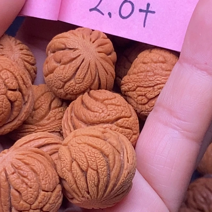 老***李秦岭龙纹桃核20颗