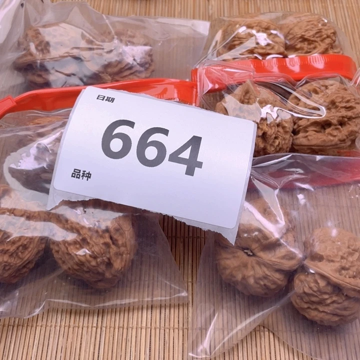 文玩核桃把件664号6对带练手蛙