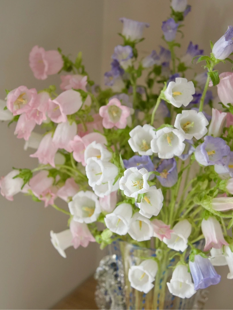 【花满堂】鲜花 风铃花 任意两单包邮 发货后不支持退款