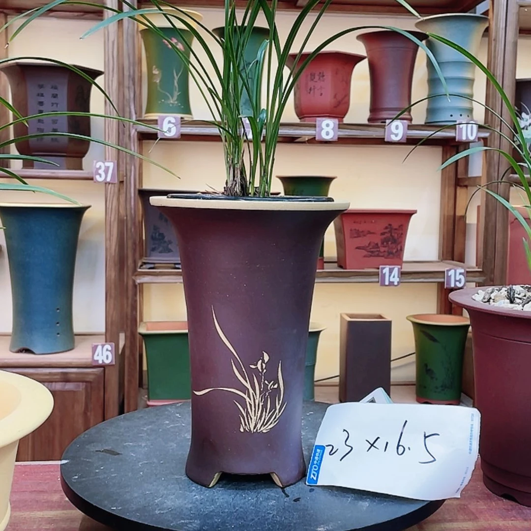 【闪购商品】紫砂花盆兰花455899665258885569