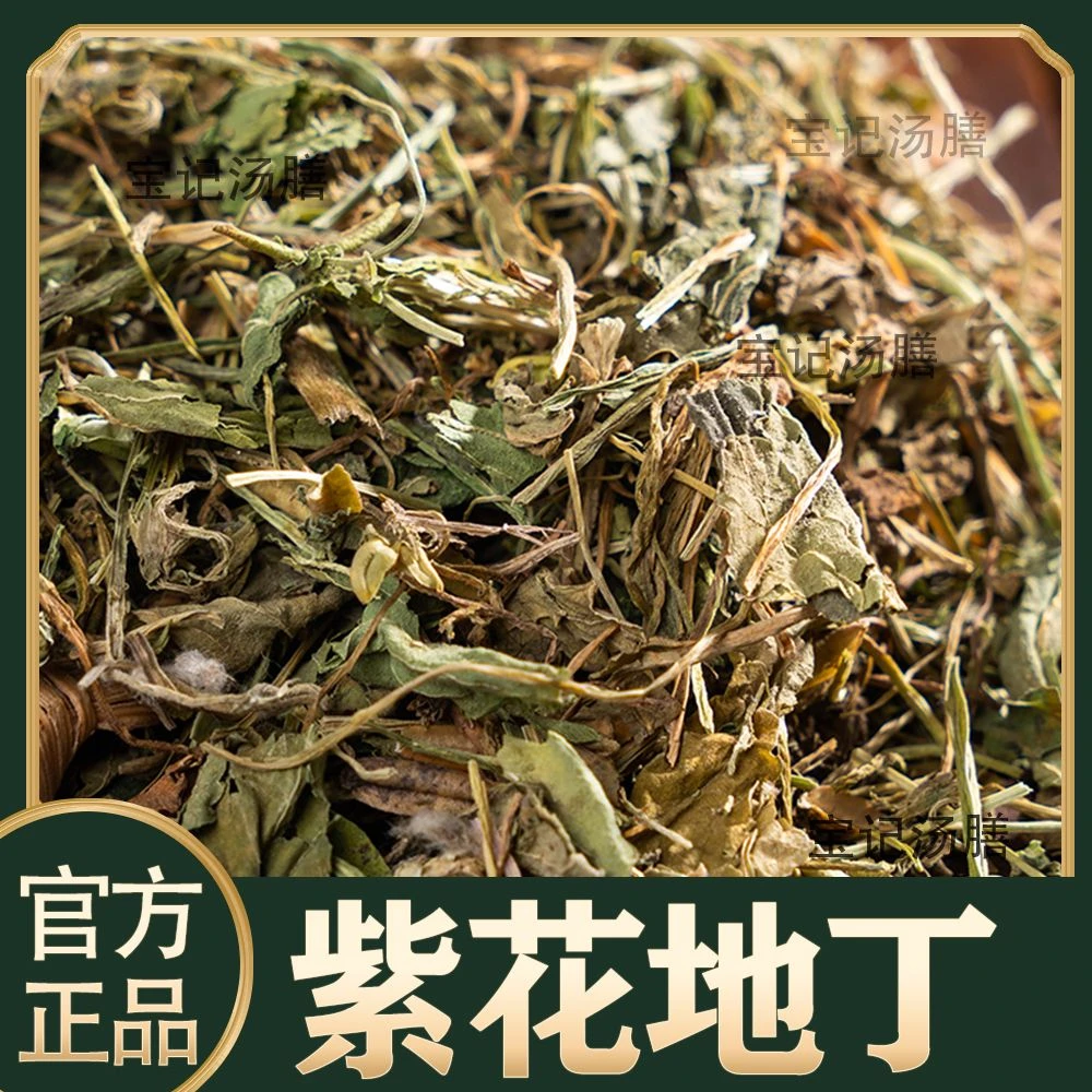 紫花地丁犁头草新鲜干地丁草泡茶泡水草真材实料初级农产品500克