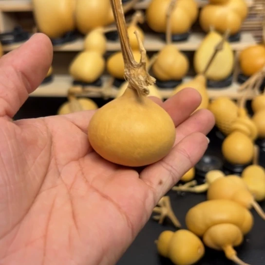 冰***71555555889889999