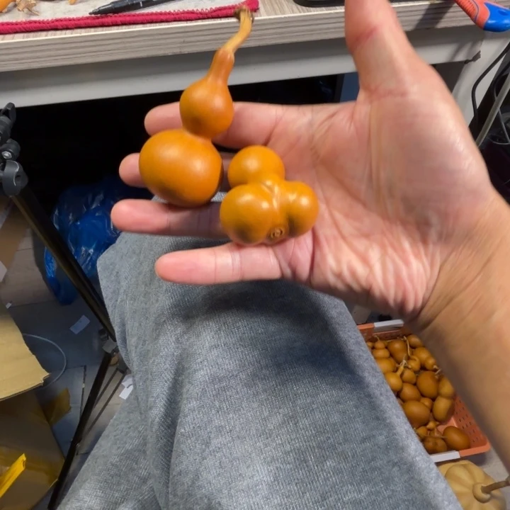 牛***狗妞妞牛油搞到两把葫芦牛油狗狗的