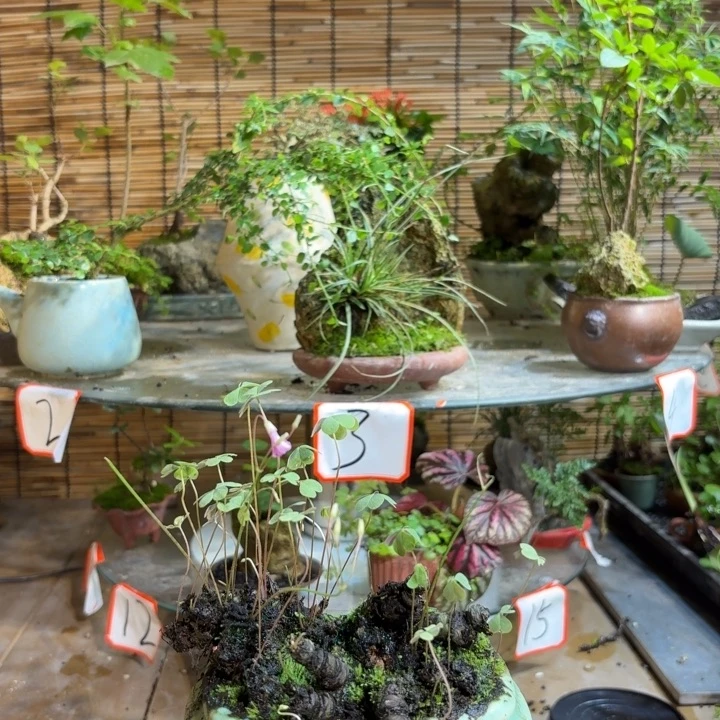 无花朵小****棒退款拉黑 一物一拍38